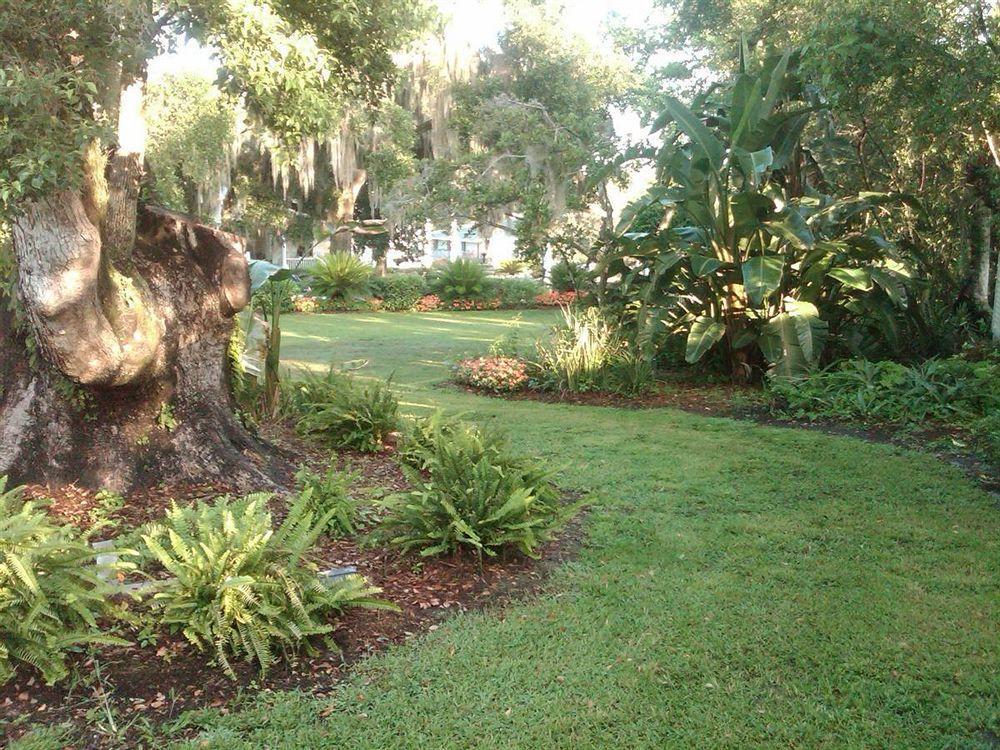 Lakeside Inn On Lake Dora Mount Dora Extérieur photo